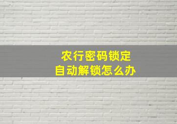 农行密码锁定自动解锁怎么办