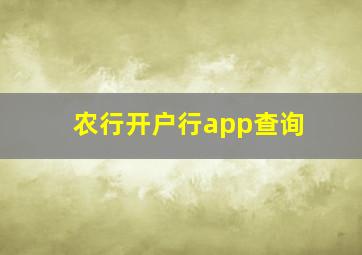 农行开户行app查询