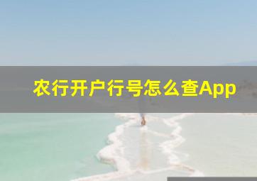 农行开户行号怎么查App