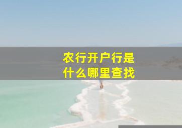 农行开户行是什么哪里查找