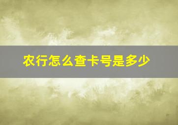 农行怎么查卡号是多少