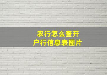 农行怎么查开户行信息表图片