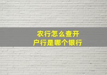 农行怎么查开户行是哪个银行