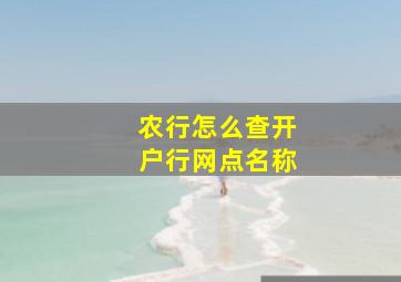 农行怎么查开户行网点名称