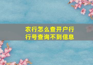 农行怎么查开户行行号查询不到信息