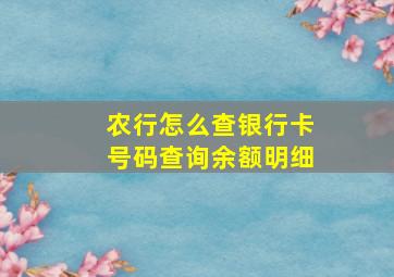 农行怎么查银行卡号码查询余额明细