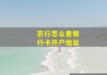 农行怎么查银行卡开户地址