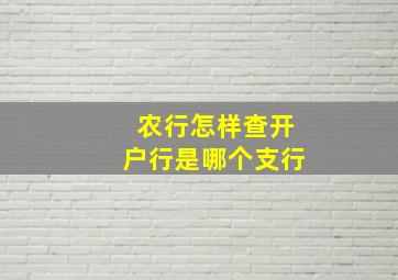 农行怎样查开户行是哪个支行