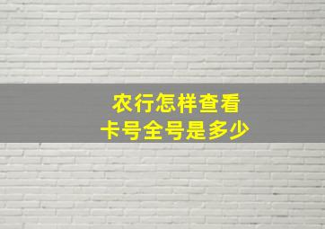 农行怎样查看卡号全号是多少