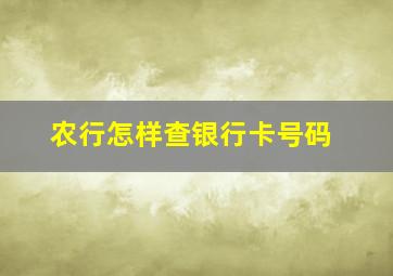 农行怎样查银行卡号码