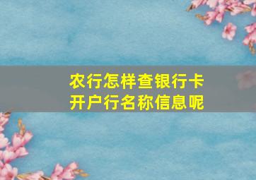 农行怎样查银行卡开户行名称信息呢