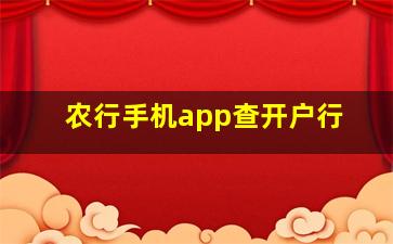 农行手机app查开户行