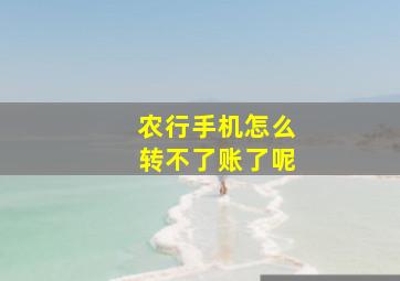 农行手机怎么转不了账了呢