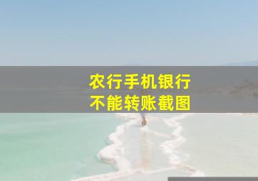 农行手机银行不能转账截图