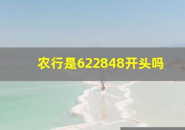 农行是622848开头吗