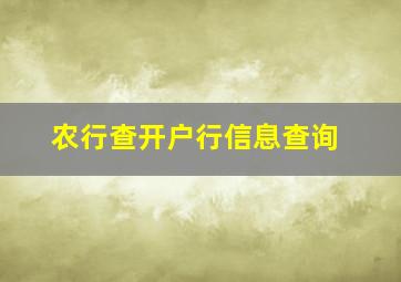 农行查开户行信息查询