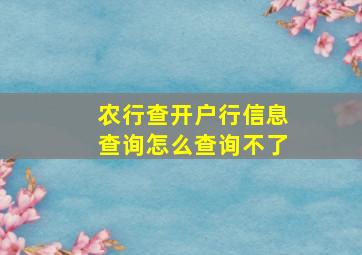 农行查开户行信息查询怎么查询不了