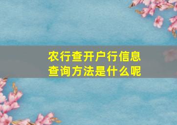 农行查开户行信息查询方法是什么呢