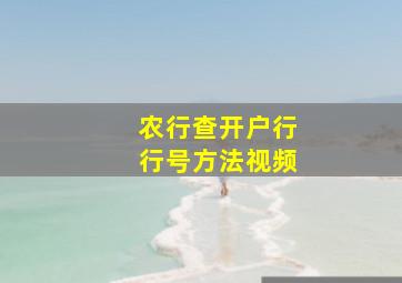 农行查开户行行号方法视频