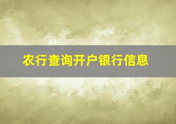 农行查询开户银行信息