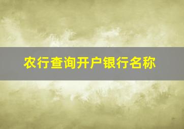 农行查询开户银行名称