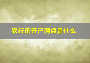 农行的开户网点是什么