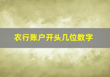 农行账户开头几位数字