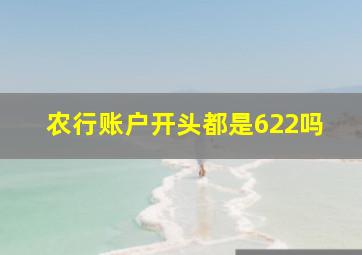 农行账户开头都是622吗