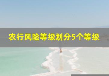 农行风险等级划分5个等级