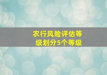 农行风险评估等级划分5个等级