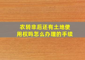 农转非后还有土地使用权吗怎么办理的手续