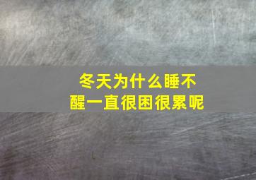 冬天为什么睡不醒一直很困很累呢