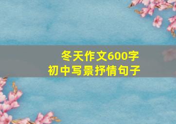 冬天作文600字初中写景抒情句子