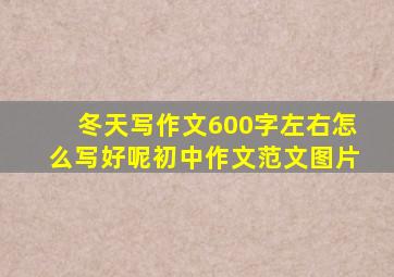 冬天写作文600字左右怎么写好呢初中作文范文图片