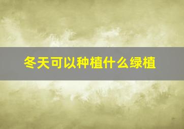 冬天可以种植什么绿植