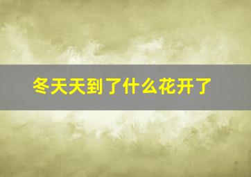 冬天天到了什么花开了