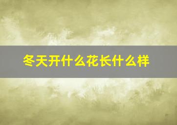 冬天开什么花长什么样