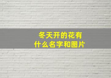 冬天开的花有什么名字和图片