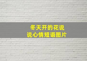 冬天开的花说说心情短语图片