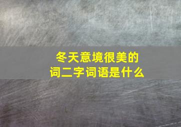 冬天意境很美的词二字词语是什么