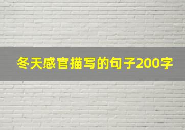 冬天感官描写的句子200字