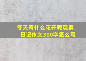 冬天有什么花开呢观察日记作文300字怎么写