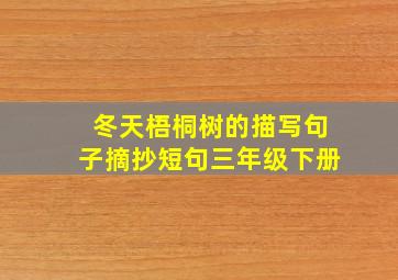 冬天梧桐树的描写句子摘抄短句三年级下册