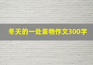 冬天的一处景物作文300字