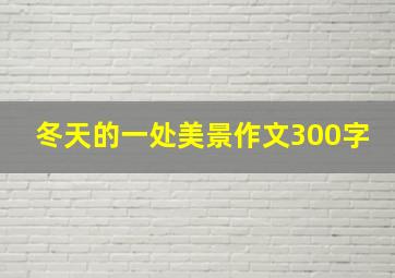 冬天的一处美景作文300字