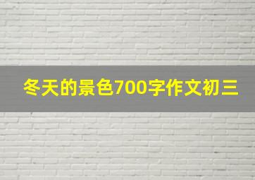 冬天的景色700字作文初三