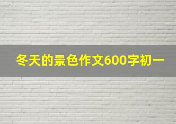 冬天的景色作文600字初一