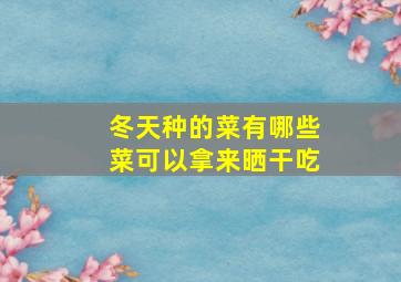 冬天种的菜有哪些菜可以拿来晒干吃