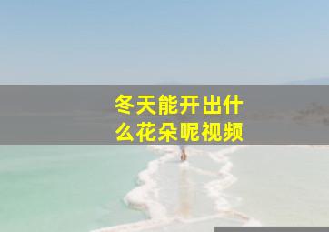 冬天能开出什么花朵呢视频