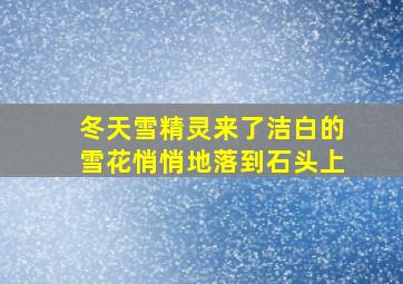 冬天雪精灵来了洁白的雪花悄悄地落到石头上